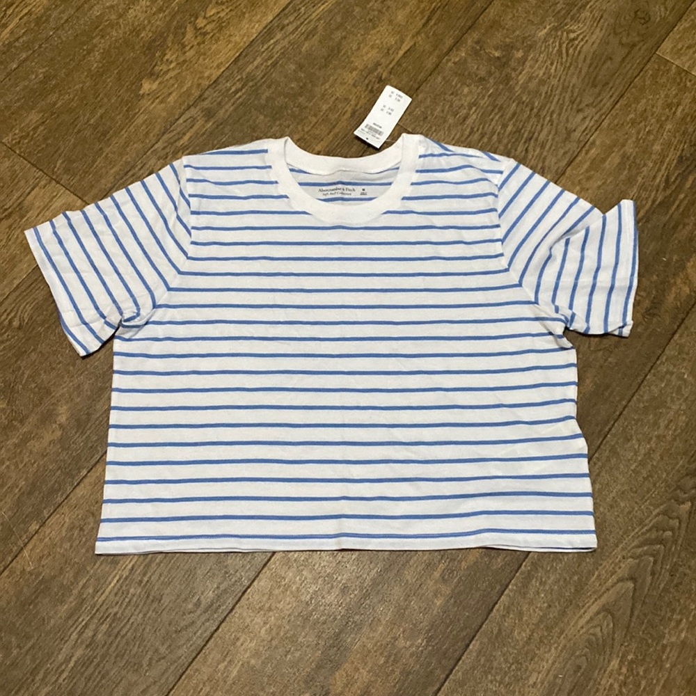 Abercrombie & Fitch White and Blue striped crop top